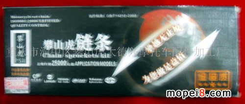 供應(yīng)攀山虎鏈條