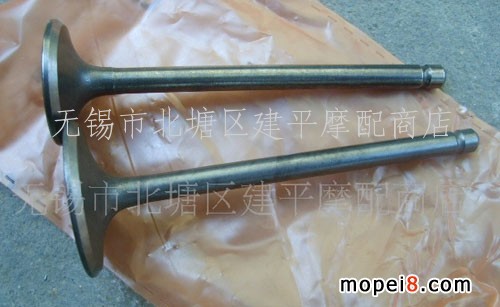 RR˹YP-250T