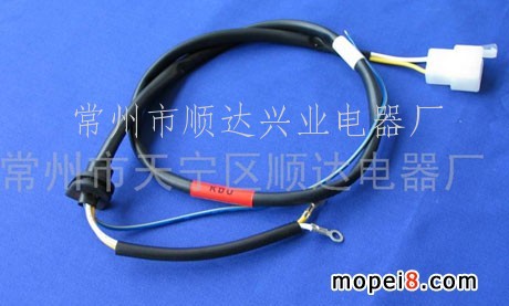 供應(yīng)摩托車磁電機線束